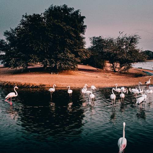 Photo #5764750