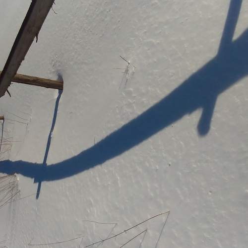 Photo #5764764