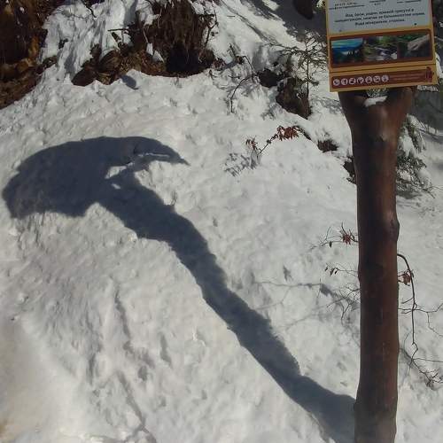 Photo #5764832