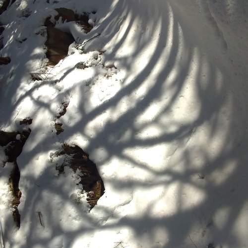 Photo #5764885