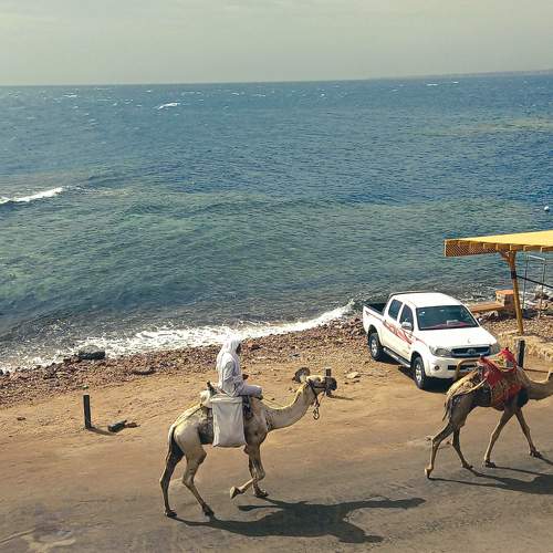 Photo #5765087