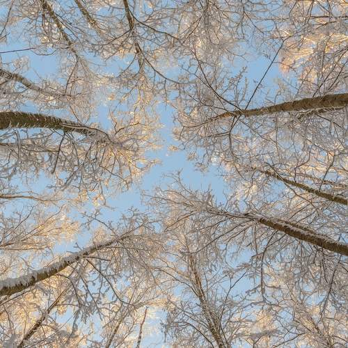 Photo #5765099