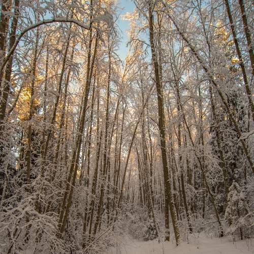 Photo #5765103