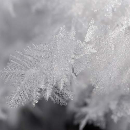 Photo #5765120