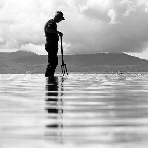 Фотография #5765265