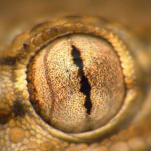 Photo #5765414