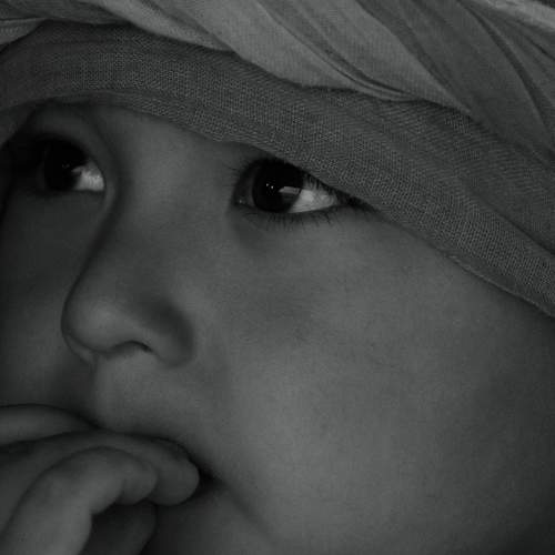 Photo #5765666
