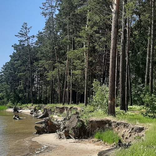 Photo #5765694