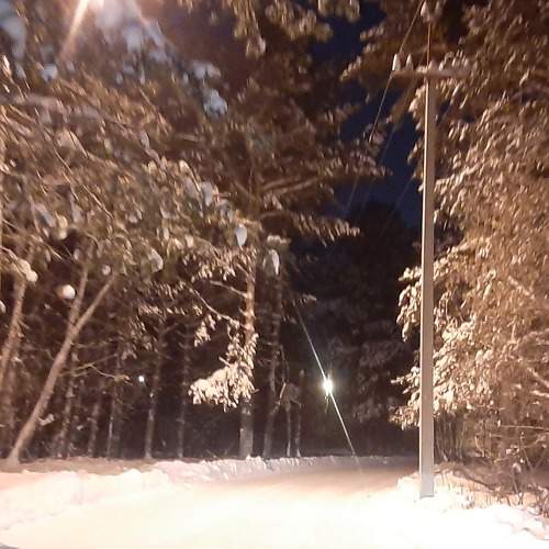 Photo #5765743