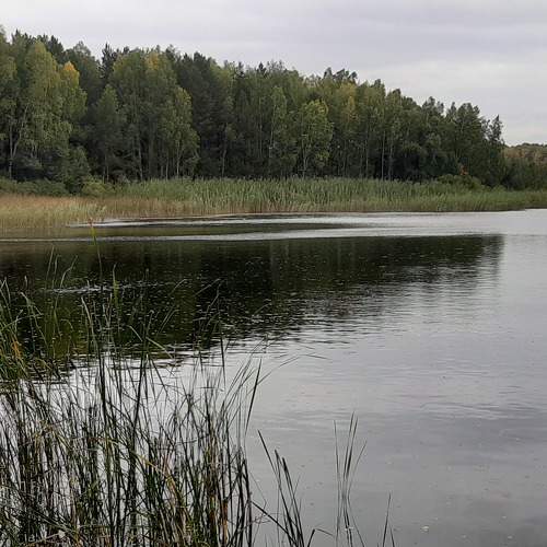 Photo #5765759