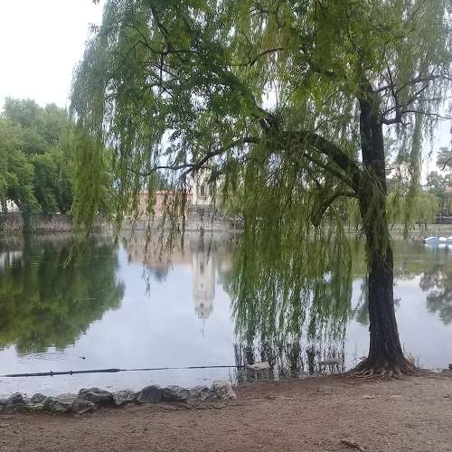 Photo #5765787