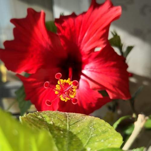Photo #5765813