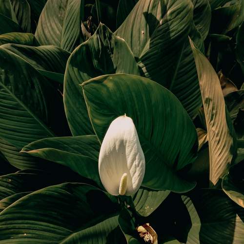 Photo #5765819