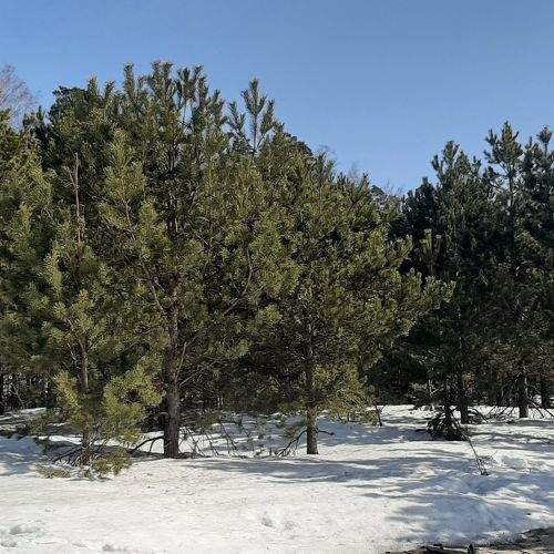 Photo #5765824
