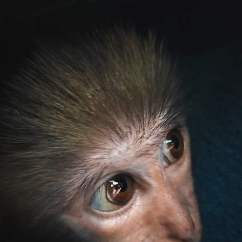 Photo #5766248