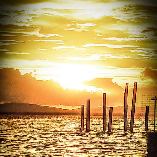 Photo #5766360