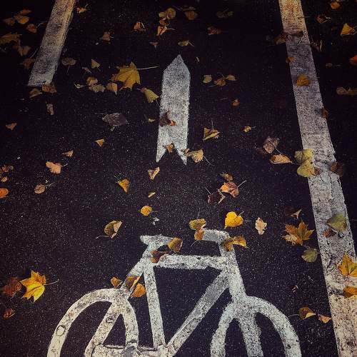Photo #5766440