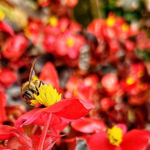 Photo #5766517