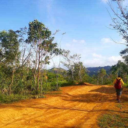 Photo #5766803