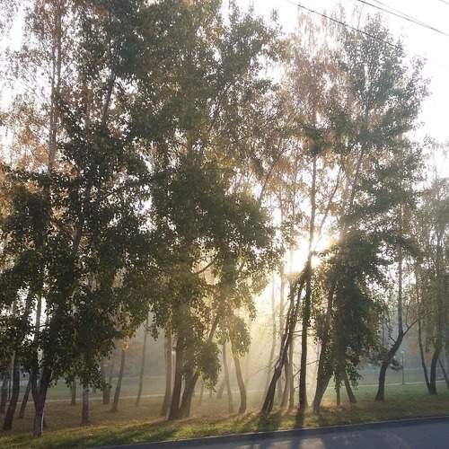 Photo #5766960