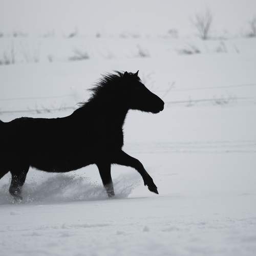 Photo #5767407