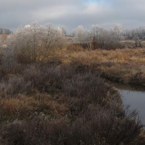 Photo #5767813