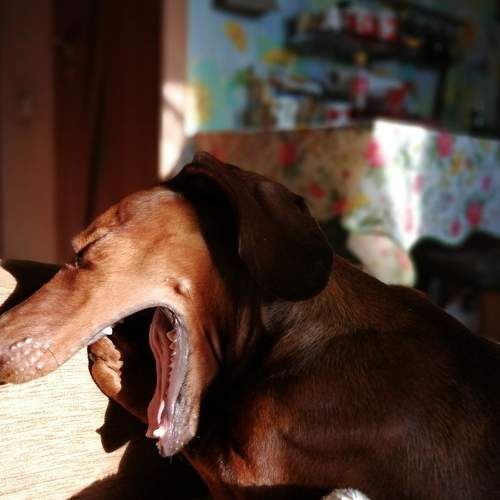 Photo #5768492