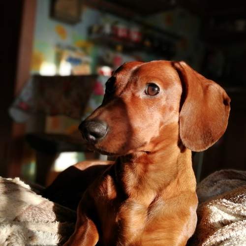 Photo #5768493