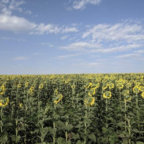 Photo #5768543