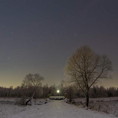 Photo #5768567