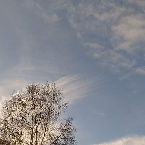 Photo #5768591