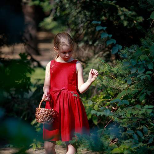 Photo #5768635