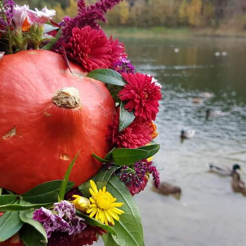 Photo #5768773