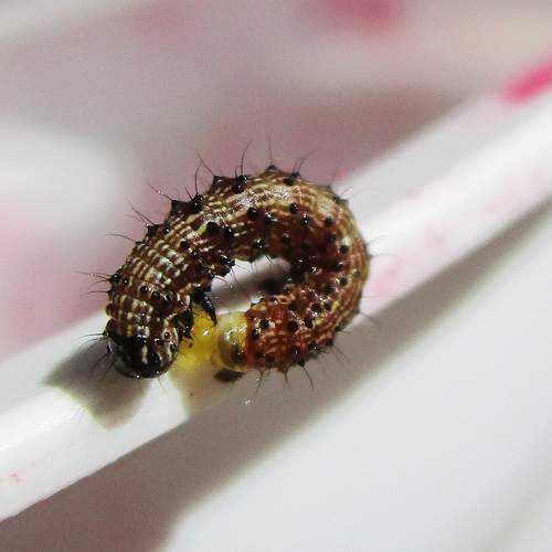 Photo #5768890