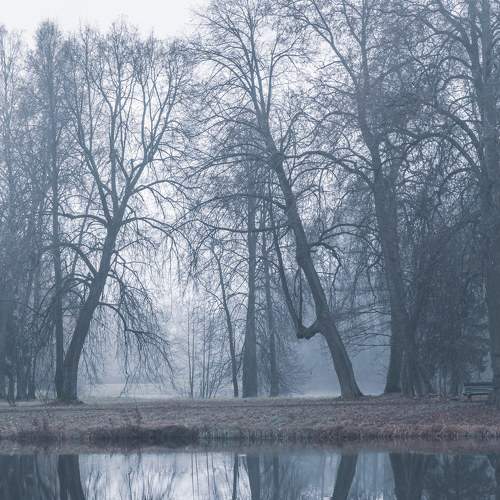 Photo #5768901