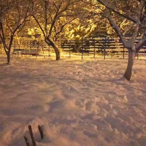 Photo #5768941