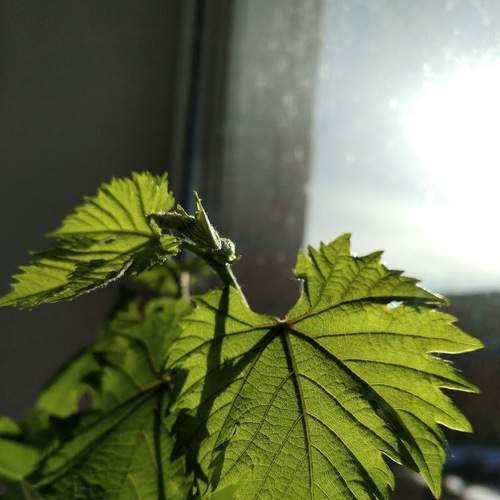 Photo #5768972