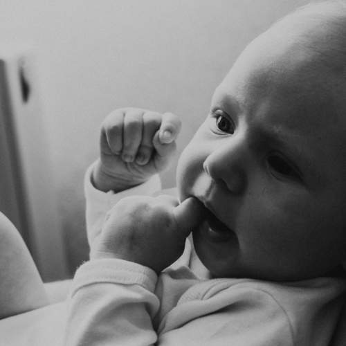 Photo #5769280
