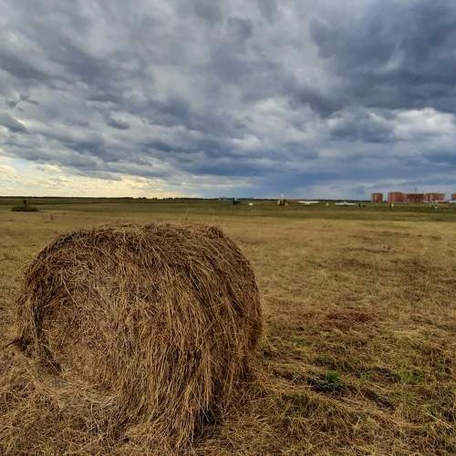 Photo #5769429