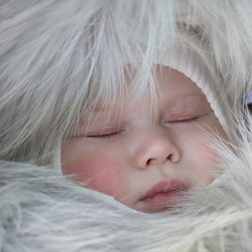 Photo #5769449