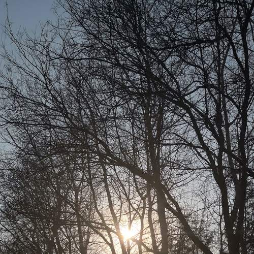 Photo #5769510