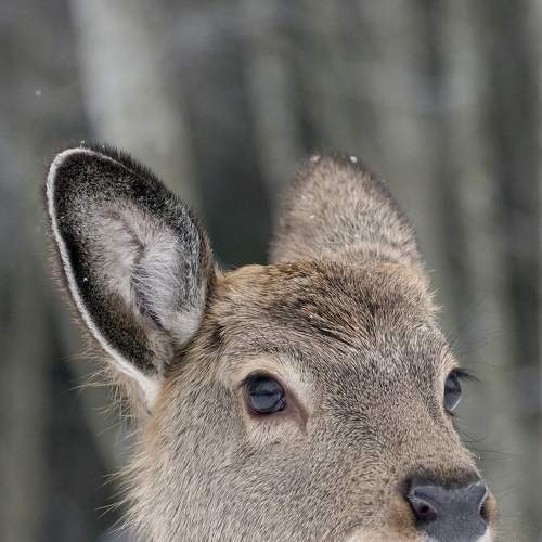 Photo #5769580