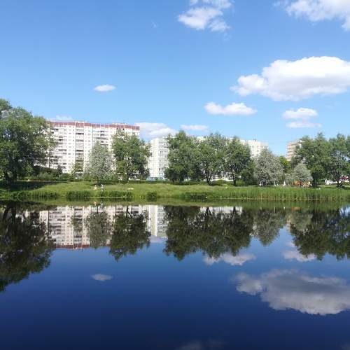 Photo #5769600