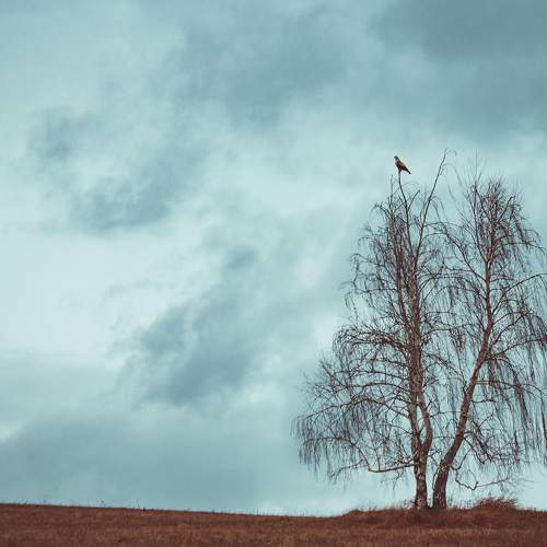 Photo #5769621