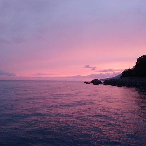 Photo #5769671