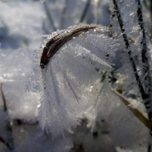 Photo #5769727