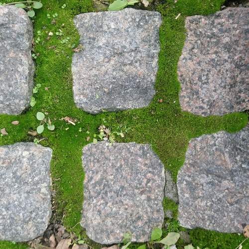 Photo #5770067