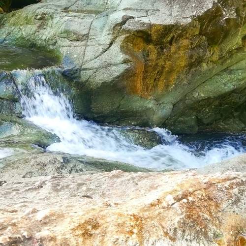Photo #5770084