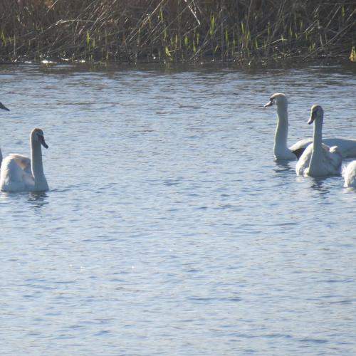 Photo #5770135