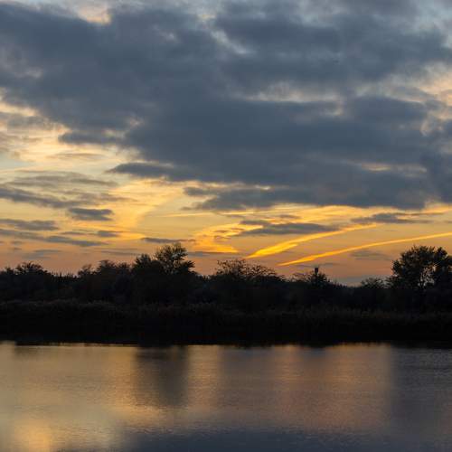Photo #5770143